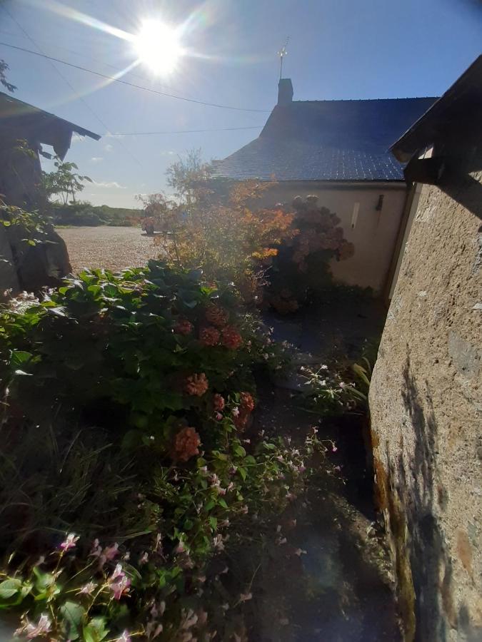 Maison A La Campagne - Piscine Beaulieu-sur-Layon المظهر الخارجي الصورة